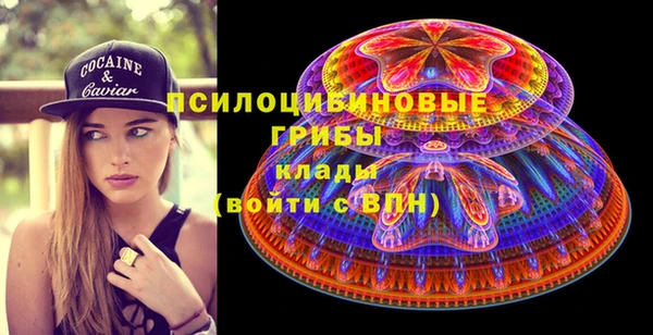 ПСИЛОЦИБИНОВЫЕ ГРИБЫ Сосновый Бор