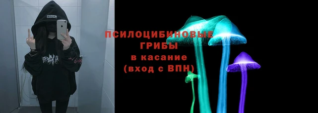 дмт Армянск