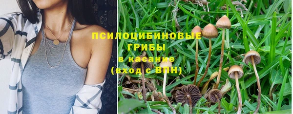 метамфетамин Аркадак