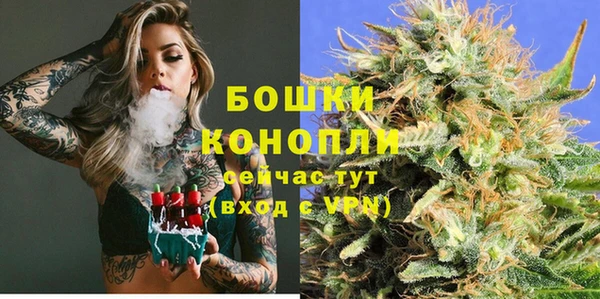 спайс Арсеньев