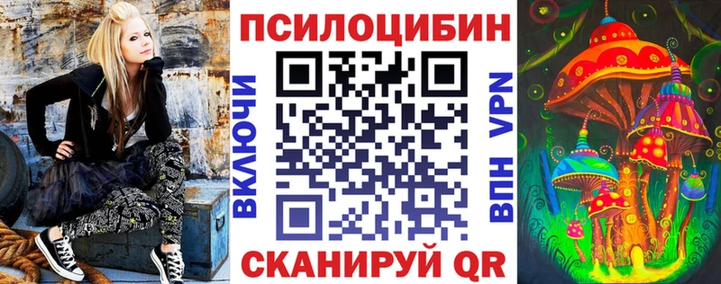 MEGA зеркало  наркошоп  Черемхово  Галлюциногенные грибы Psilocybine cubensis 